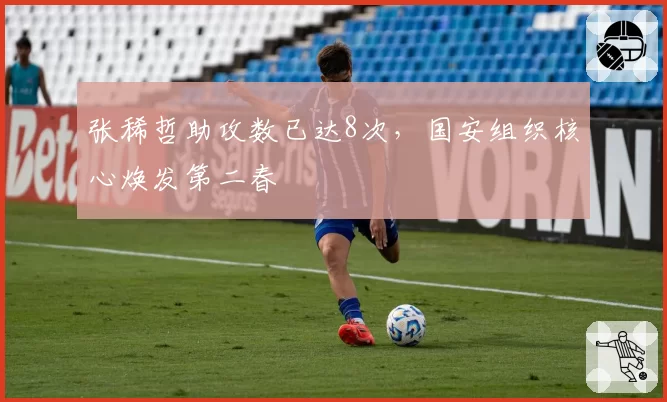 张稀哲助攻数已达8次，国安组织核心焕发第二春