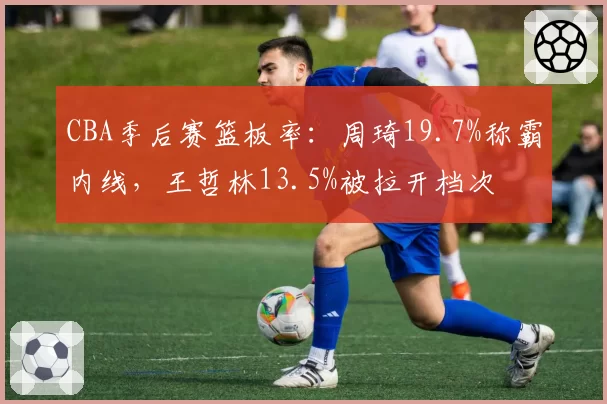 CBA季后赛篮板率：周琦19.7%称霸内线，王哲林13.5%被拉开档次
