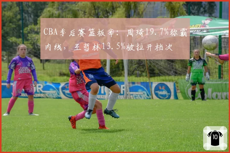 CBA季后赛篮板率：周琦19.7%称霸内线，王哲林13.5%被拉开档次